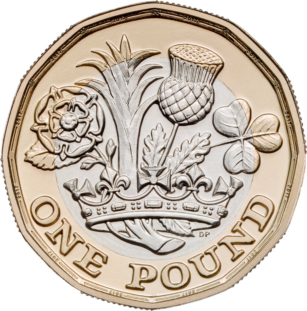 £1 Coin